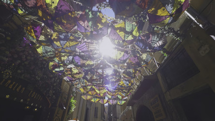 Similar image 22502106