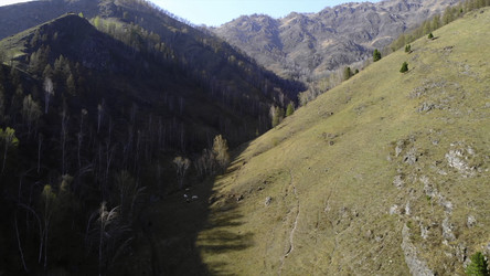 Similar image 22502136