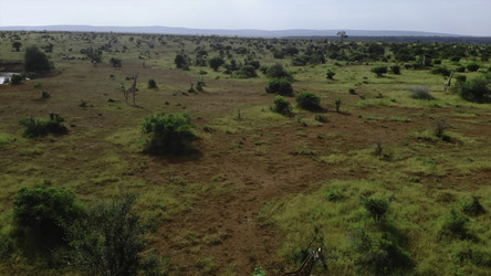 Similar image 22502180