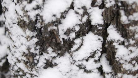 Similar image 22502240