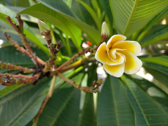 Similar image 22498966