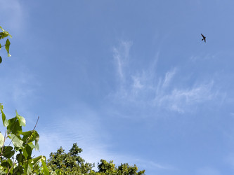 Similar image 22498996