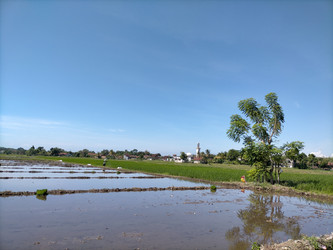 Similar image 22498997