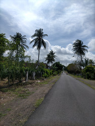 Similar image 22499027