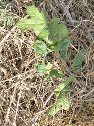 Similar image 22499042