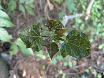 Similar image 22499056