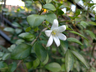 Similar image 22499071