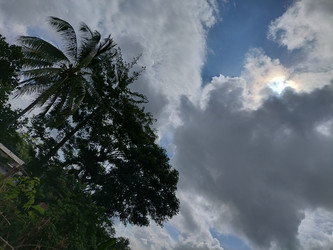 Similar image 22499084