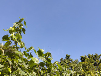 Similar image 22499368