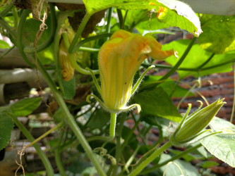 Similar image 22499398