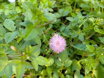 Similar image 22499427