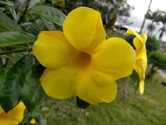 Similar image 22500940