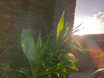 Similar image 22501282