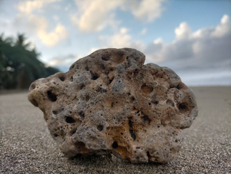 Similar image 22501297