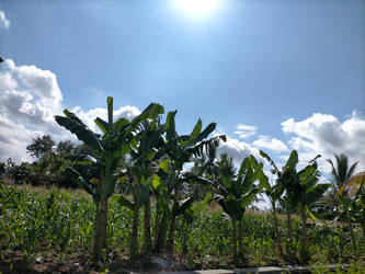 Similar image 22501327