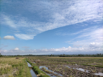 Similar image 22501328