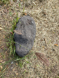 Similar image 22503964