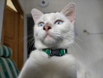 Similar image 22532549