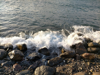 Similar image 22532588