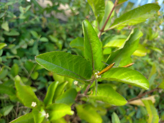 Similar image 22532590