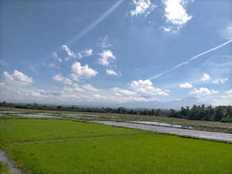 Similar image 22532608