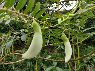 Similar image 22532631