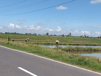 Similar image 22532650