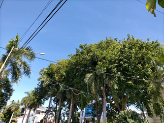 Similar image 22532673