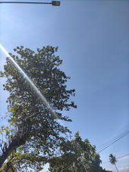 Similar image 22532692