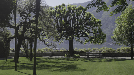 Similar image 22503121