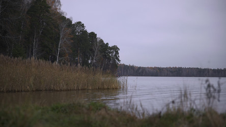 Similar image 22503122