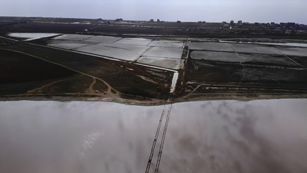 Similar image 22503228