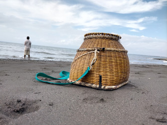 Similar image 22535754