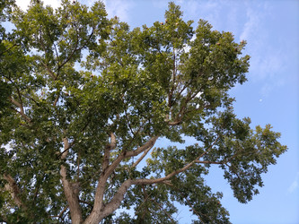 Similar image 22535769