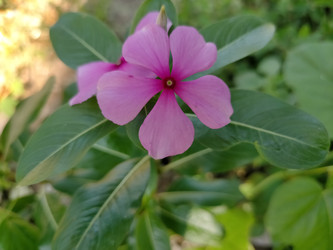 Similar image 22535770