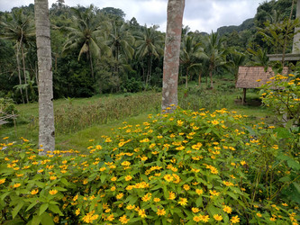 Similar image 22535784