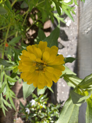 Similar image 22535785