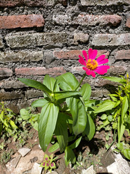 Similar image 22535799