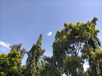 Similar image 22535814