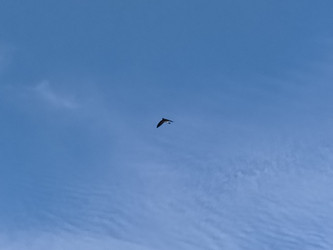 Similar image 22535815