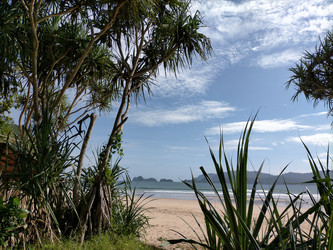 Similar image 22535844