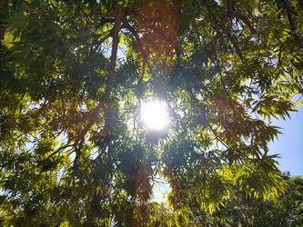 Similar image 22535845