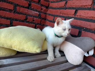 Similar image 22535859