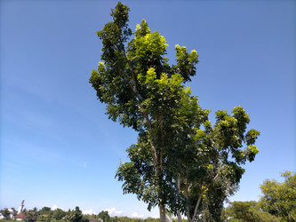 Similar image 22535889