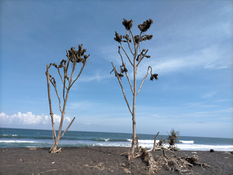 Similar image 22535919