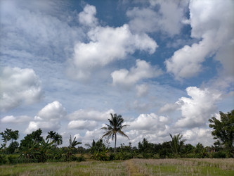 Similar image 22535920