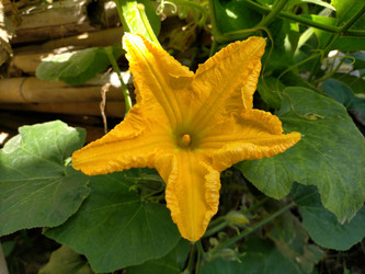 Similar image 22535934