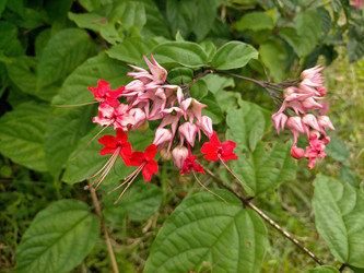 Similar image 22535949