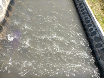 Similar image 22535964