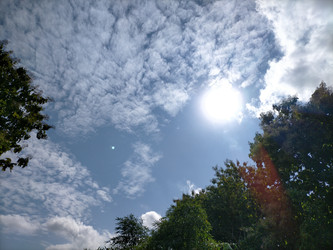 Similar image 22535965